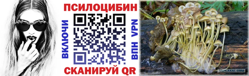 сколько стоит  МЕГА зеркало  Галлюциногенные грибы ЛСД  Серов 